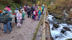 WhatsApp Bild 2025 10 23 Um 14.32.59 011400ce